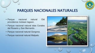 PARQUES NACIONALES NATURALES
• Parque nacional natural Old
providence mcbean lagoon.
• Parque nacional natural islas Corales
del Rosario y San Bernardo.
• Parque nacional natural Gorgona.
• Parque nacional natural Malpelo.
 