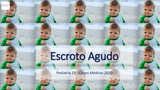 Escroto Agudo
Pediatría 19 - Clases Médicas 2020
 