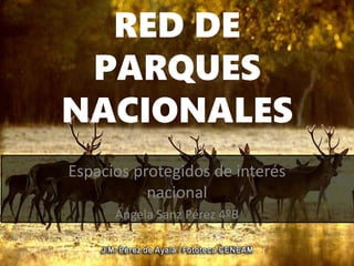 RED DE
PARQUES
NACIONALES
Espacios protegidos de interés
nacional
Ángela Sanz Pérez 4ºB
 
