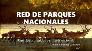 RED DE PARQUES
NACIONALES
Espacios protegidos de interés nacional.
Aníbal Cárdenas Cambrón
4ºC
 