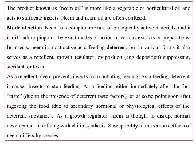 antibacterial properties of derris elliptica benth Derris elliptica benth fabaceae hang lai daeng creeping stem anti-tumor, blood stasis eurycoma longifolia jack simaroubaceae pla lai peauk root tonic, malaria, aphrodisiac ficus pubigera wall. antibacterial properties of derris elliptica benth Derris elliptica benth fabaceae hang lai daeng creeping stem anti-tumor, blood stasis eurycoma longifolia jack simaroubaceae pla lai peauk root tonic, malaria, aphrodisiac ficus pubigera wall.