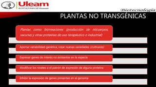 PLANTAS NO TRANSGÉNICAS
Plantas como biorreactores (producción de nticuerpos,
vacunas y otras proteínas de uso terapéutico o industrial)
Aportar variabilidad genética, crear nuevas variedades (cultivares)
Expresar genes de interés no existentes en la especie
Modificar los niveles o el patrón de expresión de alguna proteína
Inhibir la expresión de genes presentes en el genoma
 