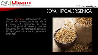 SOYA HIPOALERGÉNICA
Técnica knockout (silenciamiento de
uno o más genes) para el gen de la
proteína P34, eliminando de esta
forma el principal alérgeno que se
encuentra en las variedades agrícolas
de la leguminosa y en sus parientes
silvestres.
 