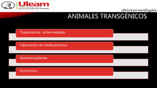 ANIMALES TRANSGÉNICOS
Tratamientos enfermedades
Fabricación de medicamentos
Xenotransplantes
Económico
 