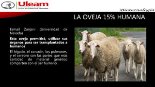 LA OVEJA 15% HUMANA
Esmail Zanjani (Universidad de
Nevada)
Esta oveja permitirá, utilizar sus
órganos para ser transplantados a
humanos
El hígado, el corazón, los pulmones,
y el cerebro son las partes que más
cantidad de material genético
comparten con el ser humano.
 