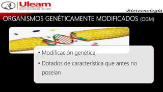 ORGANISMOS GENÉTICAMENTE MODIFICADOS (OGM)
• Modificación genética
• Dotados de característica que antes no
poseían
 
