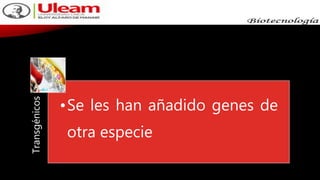 Transgénicos
•Se les han añadido genes de
otra especie
 