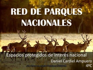 RED DE PARQUES
NACIONALES
Espacios protegidos de interés nacional
Daniel Cardiel Ampuero
4ºC
 