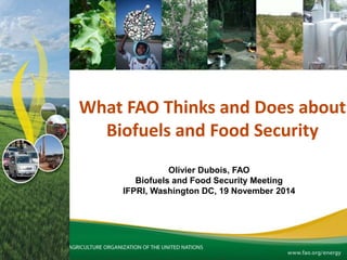 Olivier Dubois, FAO
Biofuels and Food Security Meeting
IFPRI, Washington DC, 19 November 2014
What FAO Thinks and Does about
Biofuels and Food Security
 