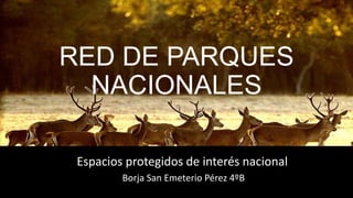 RED DE PARQUES
NACIONALES
Espacios protegidos de interés nacional
Borja San Emeterio Pérez 4ºB
 