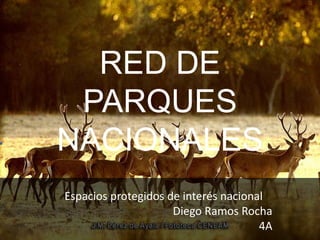 RED DE
PARQUES
NACIONALES
Espacios protegidos de interés nacional
Diego Ramos Rocha
4A
 