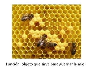 Función: objeto que sirve para guardar la miel
 