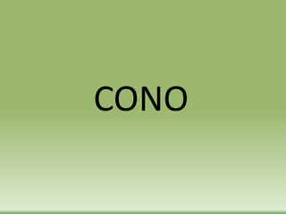 CONO
 