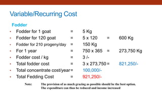 Fodder Budget.pdf P#1 feasibilty goat.pdffffjr fair sdofoeo f | PDF