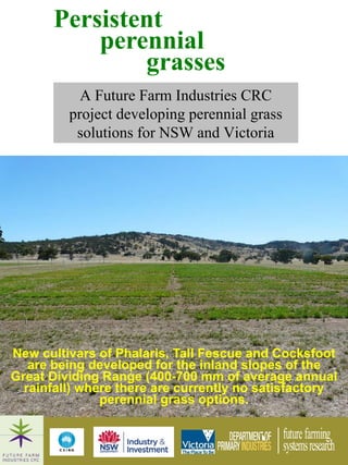 [object Object],Persistent  perennial grasses A Future Farm Industries CRC project developing perennial grass solutions for NSW and Victoria 