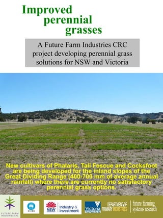 [object Object],Improved  perennial grasses A Future Farm Industries CRC project developing perennial grass solutions for NSW and Victoria 