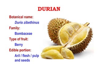 P1 Fruits diagrams 2023.ppt