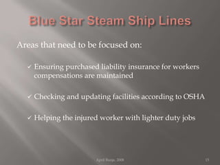 Blue Star Steam Ship LinesAreas that need to be focused on:Ensuring purchased liability insurance for workers compensations are maintained