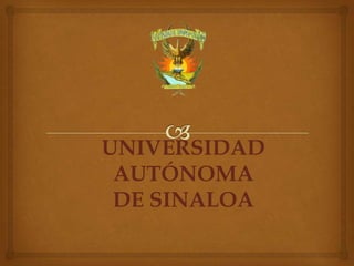 UNIVERSIDAD
 AUTÓNOMA
 DE SINALOA
 