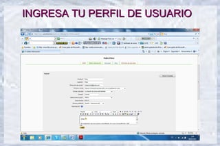 INGRESA TU PERFIL DE USUARIO
 