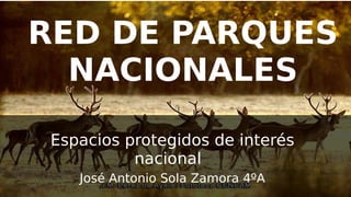 RED DE PARQUES
NACIONALES
Espacios protegidos de interés
nacional
José Antonio Sola Zamora 4ºA
 