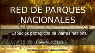 RED DE PARQUES
NACIONALES
Espacios protegidos de interés nacional
Álvaro Muñoz Lara
 