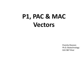 P1, PAC & MAC
Vectors
Promila Sheoran
Ph.D. Biotechnology
GJU S&T Hisar
 