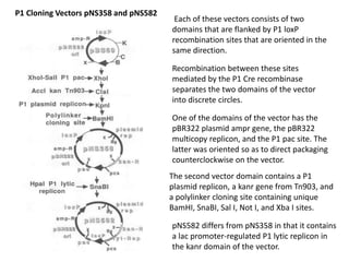 Pac Vector Structure P1, mac and pac vector | PPTX