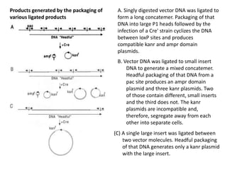 Pac Vector Structure P1, mac and pac vector | PPTX