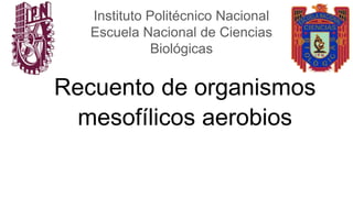 Recuento de organismos
mesofílicos aerobios
Instituto Politécnico Nacional
Escuela Nacional de Ciencias
Biológicas
 