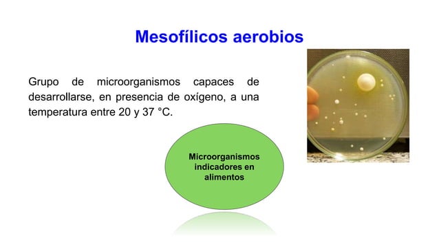 microorganismos mesofílicos aerobios en aliemntos | PPT