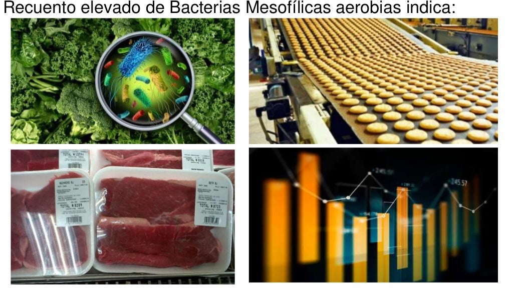 microorganismos mesofílicos aerobios en aliemntos