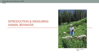 P#1 Methods of assessing Behavior 2.pptx