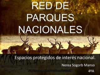 RED DE
PARQUES
NACIONALES
Espacios protegidos de interés nacional.
Nerea Sogorb Manso
4ºA
 