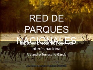 RED DE
PARQUES
NACIONALES
Espacios protegidos de nivel
interés nacional
Alejandro Torresano García
 