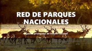 RED DE PARQUES
NACIONALES
Espacios protegidos de interés nacional
Pilar Domínguez Cabrera
4ªA
 