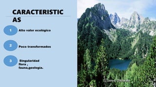 CARACTERISTIC
AS
1
2
3
Alto valor ecológico
Poco transformados
Singularidad
flora ,
fauna,geología.
 