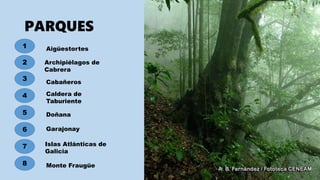 PARQUES
1
2
3
4
5
6
7
8
Aigüestortes
Archipiélagos de
Cabrera
Cabañeros
Caldera de
Taburiente
Doñana
Garajonay
Islas Atlánticas de
Galicia
Monte Fraugüe
 