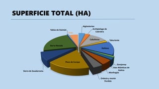 SUPERFICIE TOTAL (HA)
Aigüestortes
Archipielago de
Cabrebra
Cabañeros Taburiente
Doñana
Garajonay
Islas Atlánticas de
Galicia
Monfragüe
Ordesia y monte
Perdido
Picos de Europa
Sierra de Guadarrama
Sierra Nevada
Tablas de Daimiel
Teide
 