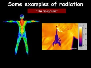 P1 revision | PPT