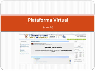 Plataforma Virtual
      (moodle)
 