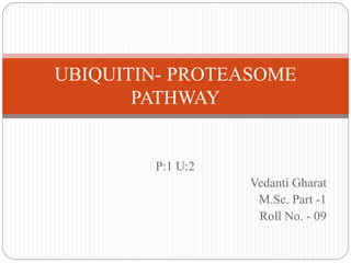P:1 U:2
Vedanti Gharat
M.Sc. Part -1
Roll No. - 09
UBIQUITIN- PROTEASOME
PATHWAY
 