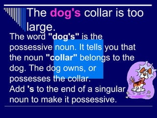The  dog's  collar is too large. The word  "dog's"  is the possessive noun. It tells you that the noun  "collar"  belongs to the dog. The dog owns, or possesses the collar. Add  's  to the end of a singular noun to make it possessive. 