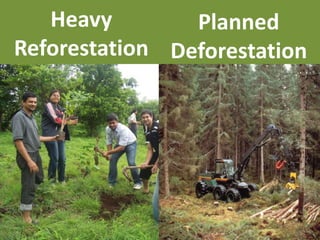 Heavy ReforestationPlanned Deforestation