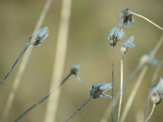 le printemps arrive 2