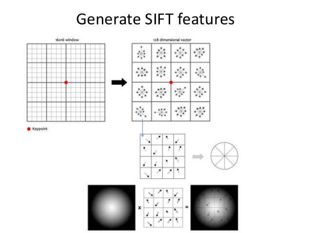 Feature Extraction