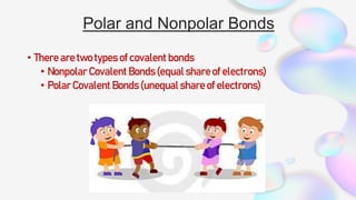 Polar and Nonpolar Bonds
• There are two types of covalent bonds
• Nonpolar Covalent Bonds (equal share of electrons)
• Polar Covalent Bonds (unequal share of electrons)
 