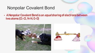Nonpolar Covalent Bond
• A Nonpolar Covalent Bond is an equal sharing of electrons between
two atoms (Cl-Cl, N-N, O-O)
 