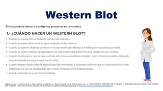 Pena Infectado P2-CASO CLINICO-WESTERN BLOT-E4-LABVIROLOGIA-TERMINADA (1).pptx