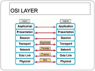 OSI LAYER

 